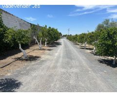 Tu paraíso entre Utrera y Los Palacios — Donde la libertad tiene 4.900 m²
