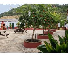 Cortijo Huerto el espino