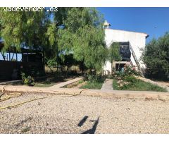 FINCA EN ORIHUELA
