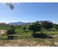 FINCA EN ORIHUELA