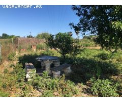 FINCA EN ORIHUELA