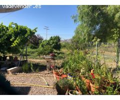 FINCA EN ORIHUELA