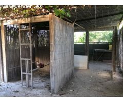 FINCA EN ORIHUELA