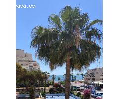 APARTAMENTO DUPLEX OROPESA