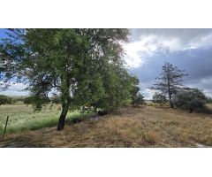 SE VENDE CHALET A 3 KM DE POZOBLANCO
