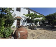 FINCA RUSTICA CON CORTIJOS