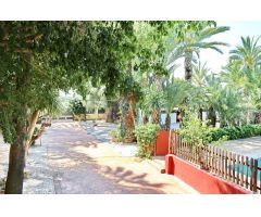 Impresionante chalet en venta con 10.000 metros de parcela en Guardamar
