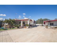 VIVIR EN UN OASIS DE TRANQUILIDAD EN PERLETA, ELCHE: CHALET CON AMPLIA PARCELA Y TODAS LAS COMODIDAD