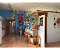 Casa con terreno en Alquiler en San Vicente del Raspeig, Alicante