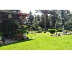 VENTA.-.FINCA DE RECREO.-.PARCELA DE 1.483 MTS.
