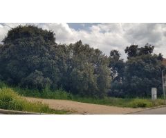 PARCELA DE ESQUINA EN PIOZ