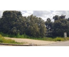 PARCELA DE ESQUINA EN PIOZ