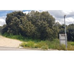 PARCELA DE ESQUINA EN PIOZ
