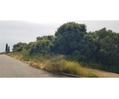 PARCELA DE ESQUINA EN PIOZ