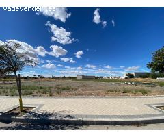 ALQUILER de Suelo Terciario-Comercial en la ZONA EL OLIVAR