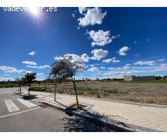 ALQUILER de Suelo Terciario-Comercial en la ZONA EL OLIVAR