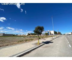 ALQUILER de Suelo Terciario-Comercial en la ZONA EL OLIVAR