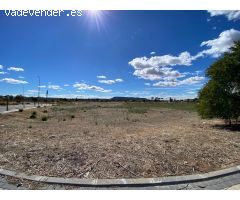 ALQUILER de Suelo Terciario-Comercial en la ZONA EL OLIVAR