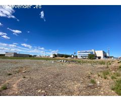 ALQUILER de Suelo Terciario-Comercial en la ZONA EL OLIVAR