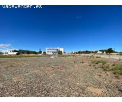 ALQUILER de Suelo Terciario-Comercial en la ZONA EL OLIVAR