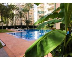 ALQUILER GANDIA VERANO 2025