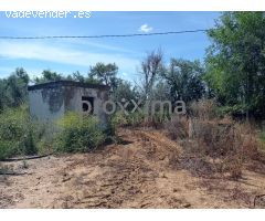 OLIVAR EN PRODUCCIÓN CON POSIBILIDAD DE CONSTRUIR VIVIENDA