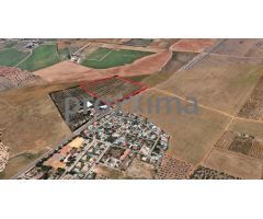 OLIVAR EN PRODUCCIÓN CON POSIBILIDAD DE CONSTRUIR VIVIENDA