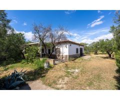 Casa con terreno en Venta en Fiñana, Almería