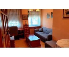 APARTAMENTO DE UN DORMITORIO EN LA CISTERNIGA