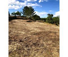 TERRENO RÚSTICO A LA VENTA EN XATIVA