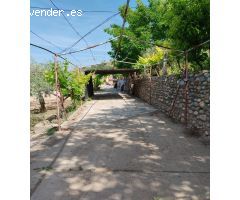 Venta de chalet y Finca Rustica en Barbastro