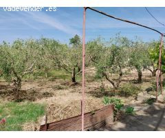 Venta de chalet y Finca Rustica en Barbastro