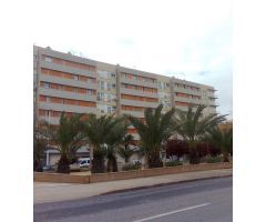 VIVIENDA EN ALQUILER FRENTE UNIVERSIDAD MIGUEL HERNANDEZ