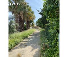VENTA DE PARCELA 6.000M2 CON CASA