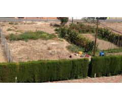 VENTA DE PARCELA EDFICABLE EN LA ARBOLEJA 1118M2