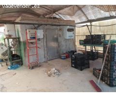 VENTA DE INVERNADEROS