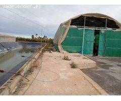 VENTA DE INVERNADEROS