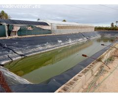VENTA DE INVERNADEROS