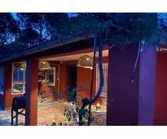REF.- 108 - Finca rústica en venta en Agost
