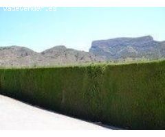 REF. 111 – Casa de Campo con Terreno y Árboles Frutales – Petrer