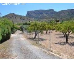 REF. 111 – Casa de Campo con Terreno y Árboles Frutales – Petrer