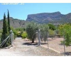 REF. 111 – Casa de Campo con Terreno y Árboles Frutales – Petrer
