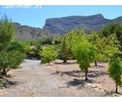 REF. 111 – Casa de Campo con Terreno y Árboles Frutales – Petrer