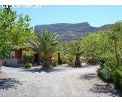 REF. 111 – Casa de Campo con Terreno y Árboles Frutales – Petrer