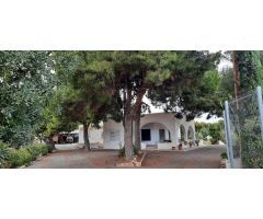 REF.- 114 – Chalet independiente en venta en Peña las Águilas – Elche