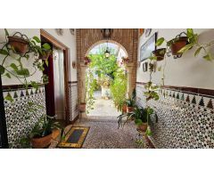 El alma de un patio cordobés