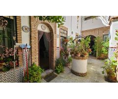 El alma de un patio cordobés