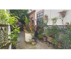 El alma de un patio cordobés