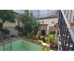 El alma de un patio cordobés