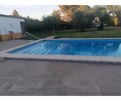 PARCELA RUSTICA EN EL ALAMILLO